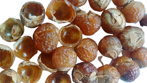 Indian Soap Nuts