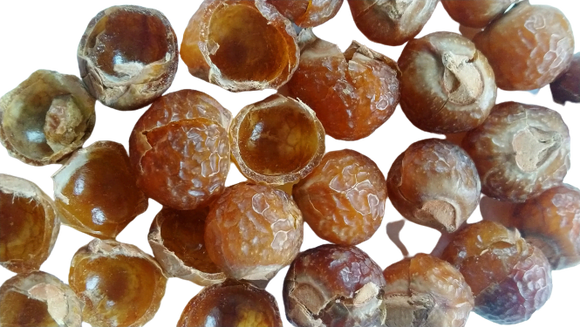Indian Soap Nuts